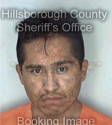 Juan Perez, - Hillsborough County, FL 