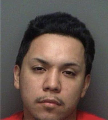 Luis Sanabria, - Pinellas County, FL 