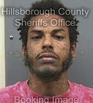 Carl Ware, - Hillsborough County, FL 