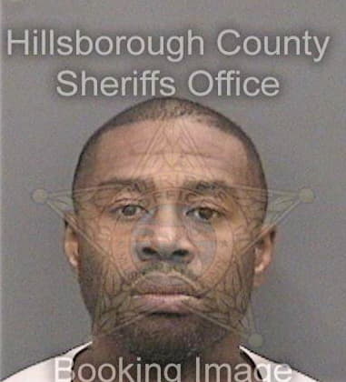 Deterrio Young, - Hillsborough County, FL 