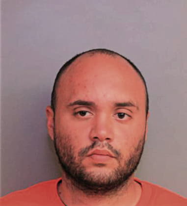 Carlos Burgos-Irizarry, - Polk County, FL 