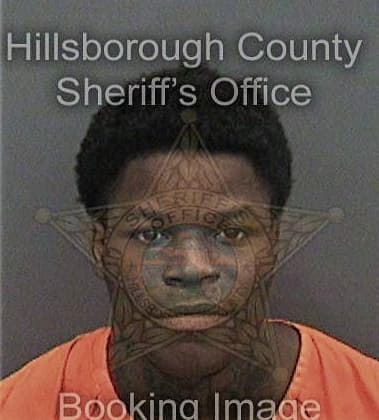 Samuel Clemons - Hillsborough County, FL 