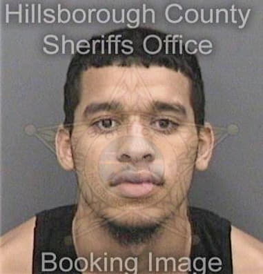 Loregginard Cohens - Hillsborough County, FL 