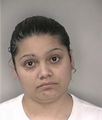 Ines Lleras - Hillsborough County, FL 