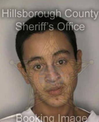 Nazario Martinez, - Hillsborough County, FL 