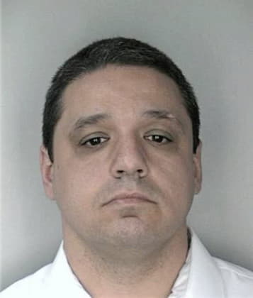 Michael McGowan - Hillsborough County, FL 