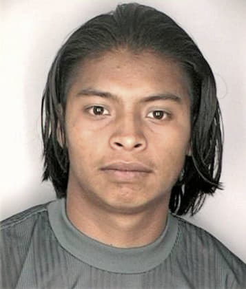 Salvador Mendez - Hillsborough County, FL 