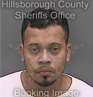 Elvis Baezdelgado, - Hillsborough County, FL 