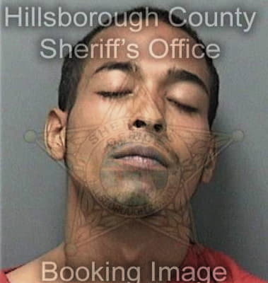 John Boseak - Hillsborough County, FL 