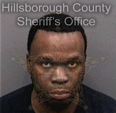 Frank Chriss - Hillsborough County, FL 