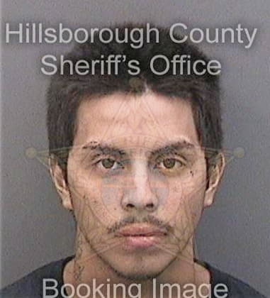 Hector Galarza, - Hillsborough County, FL 