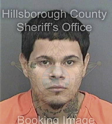 Javier Garciamastache, - Hillsborough County, FL 