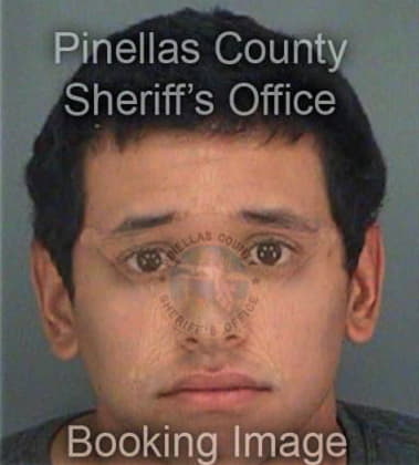 Victor Guitierrez, - Pinellas County, FL 