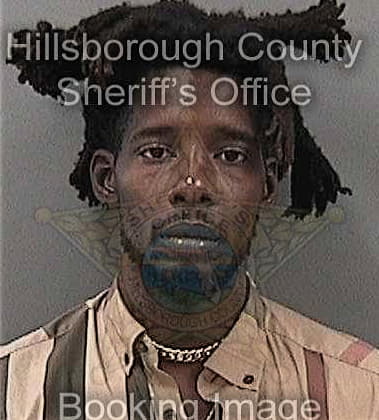 Janthony Hill, - Hillsborough County, FL 