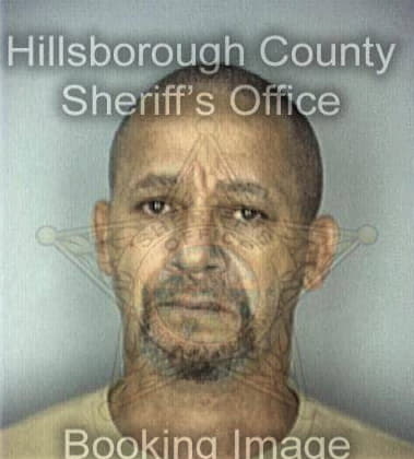 Deangelo James, - Hillsborough County, FL 