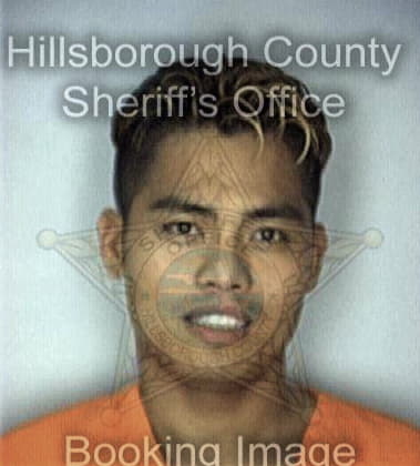 Brandon Rosa, - Hillsborough County, FL 