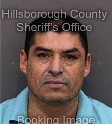 Jayson Farnum, - Hillsborough County, FL 