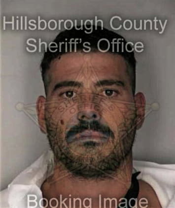 Ermet Hopkins, - Hillsborough County, FL 