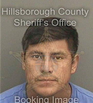 Nicholas Kovach, - Hillsborough County, FL 