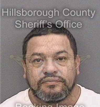 David McLendon - Hillsborough County, FL 