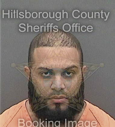 Benjamin Mendez - Hillsborough County, FL 