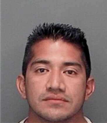 Jose Molina-Garcia, - Pinellas County, FL 