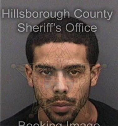 Carlos Ramirezguzman, - Hillsborough County, FL 