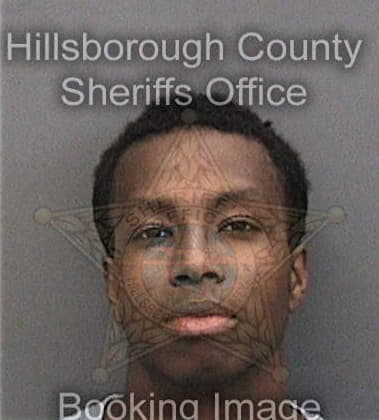 Terrance Safford, - Hillsborough County, FL 