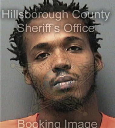 Sterling Sampson, - Hillsborough County, FL 