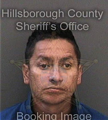 Timothy Turk, - Hillsborough County, FL 