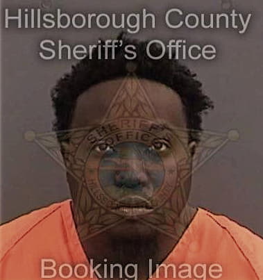 Damaion Bartley, - Hillsborough County, FL 