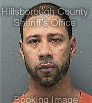 James Callis, - Hillsborough County, FL 