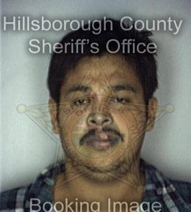 Joshua Carradero, - Hillsborough County, FL 