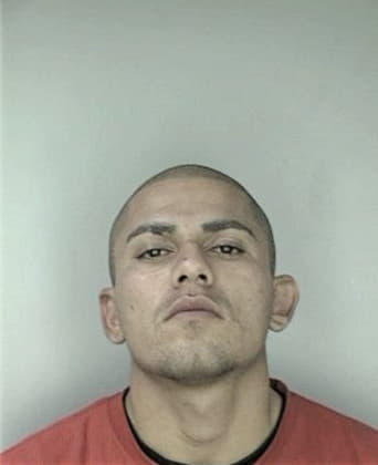 Arnaldo Hernandez - Hillsborough County, FL 