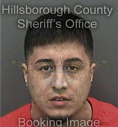 Michael Huber, - Hillsborough County, FL 