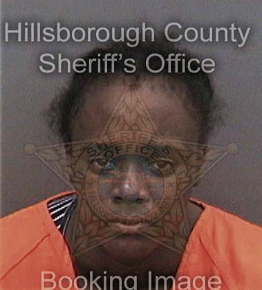 Ayana Mazion - Hillsborough County, FL 