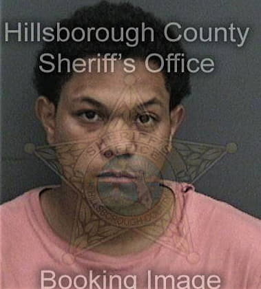 Reginald McCray - Hillsborough County, FL 