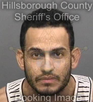 Jonathan Ortiz, - Hillsborough County, FL 