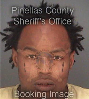 Antez Smart - Pinellas County, FL 