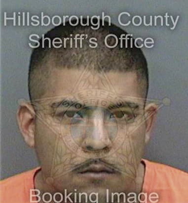 Herman Wilder - Hillsborough County, FL 
