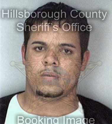 Domingo Arias, - Hillsborough County, FL 