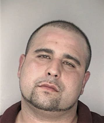 Alexander Cheek - Hillsborough County, FL 