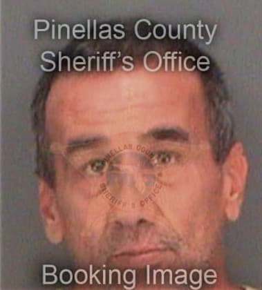 Michael Cirasuolo, - Pinellas County, FL 