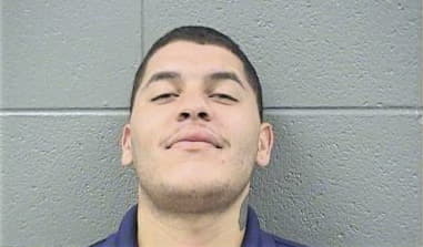 Ronald Ibarra, - Cook County, IL 