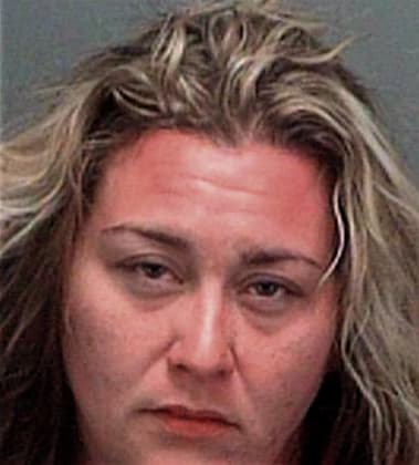 Karen McDonald - Pinellas County, FL 