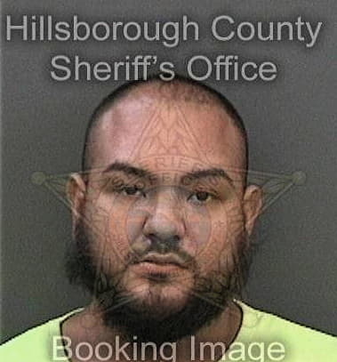 Travis Williams, - Hillsborough County, FL 