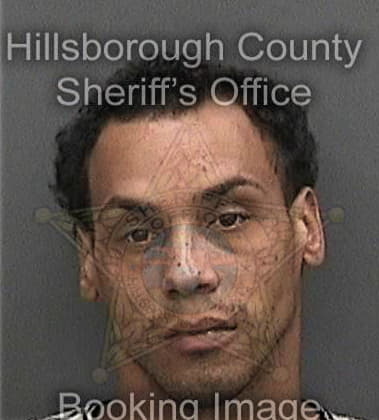 Marc Castano, - Hillsborough County, FL 