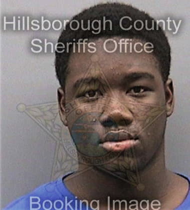 Darris Chatman - Hillsborough County, FL 