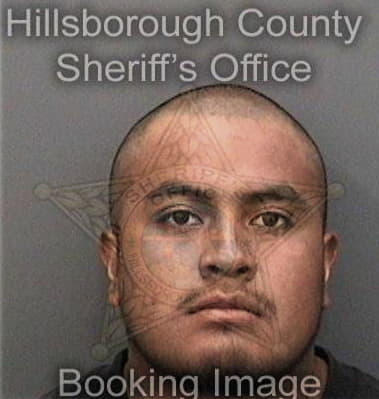 Christopher Colding - Hillsborough County, FL 