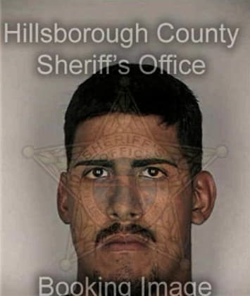 Jose Coronadofalcon, - Hillsborough County, FL 